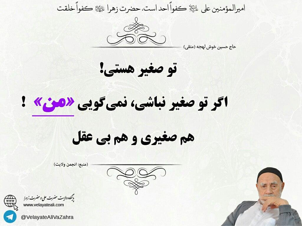 تو صغیر هستی، اگر تو صغیر نباشی، نمی گویی، من؛ هم صغیری هم بی عقل